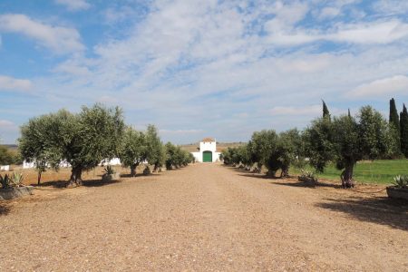 Finca Cascajoso del Río 2