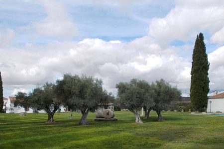 Finca Cascajoso del Río 7